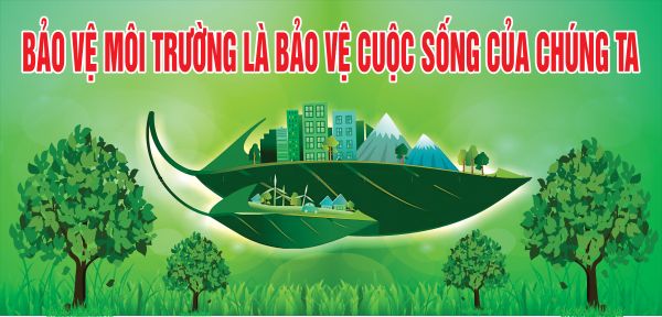bang-ron-bao-ve-moi-truong-5