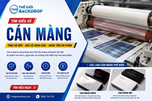 Cán Màng Là Gì? Phân Loại, Quy Trình Và Cách Chọn Màng Chuẩn